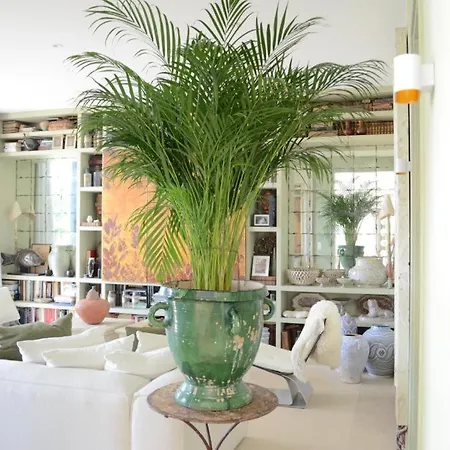 Maison D'architecte Piscine Vue Exceptionnelle A Pied *